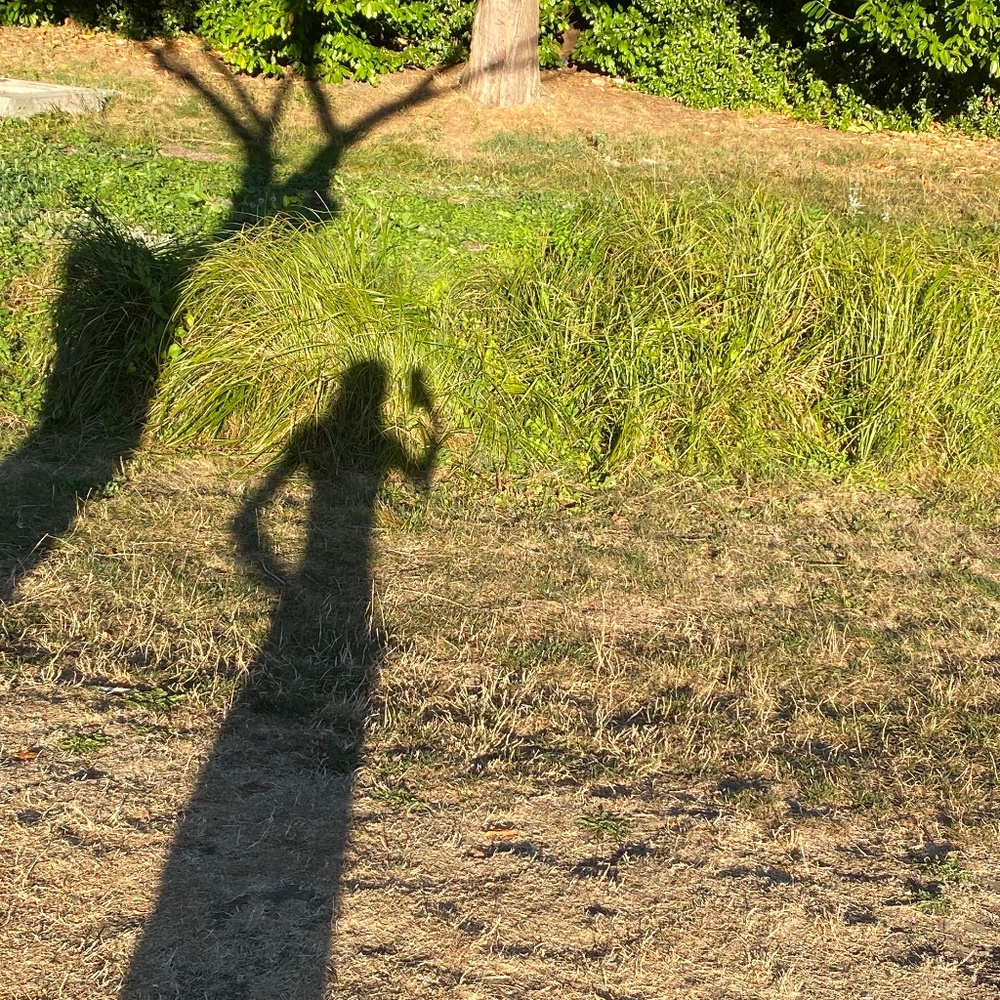 Meet your Posher, Kyla